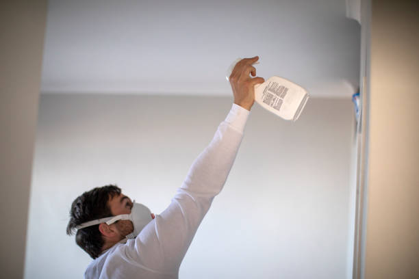 Best DIY Mold Remediation Support Services in Murphy, TX