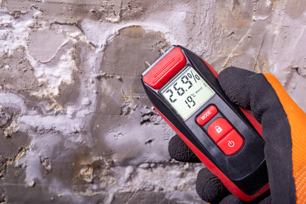 Best Residential Mold Remediation in Murphy, TX