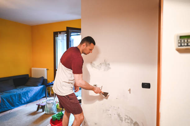 Best Attic Mold Remediation in Murphy, TX